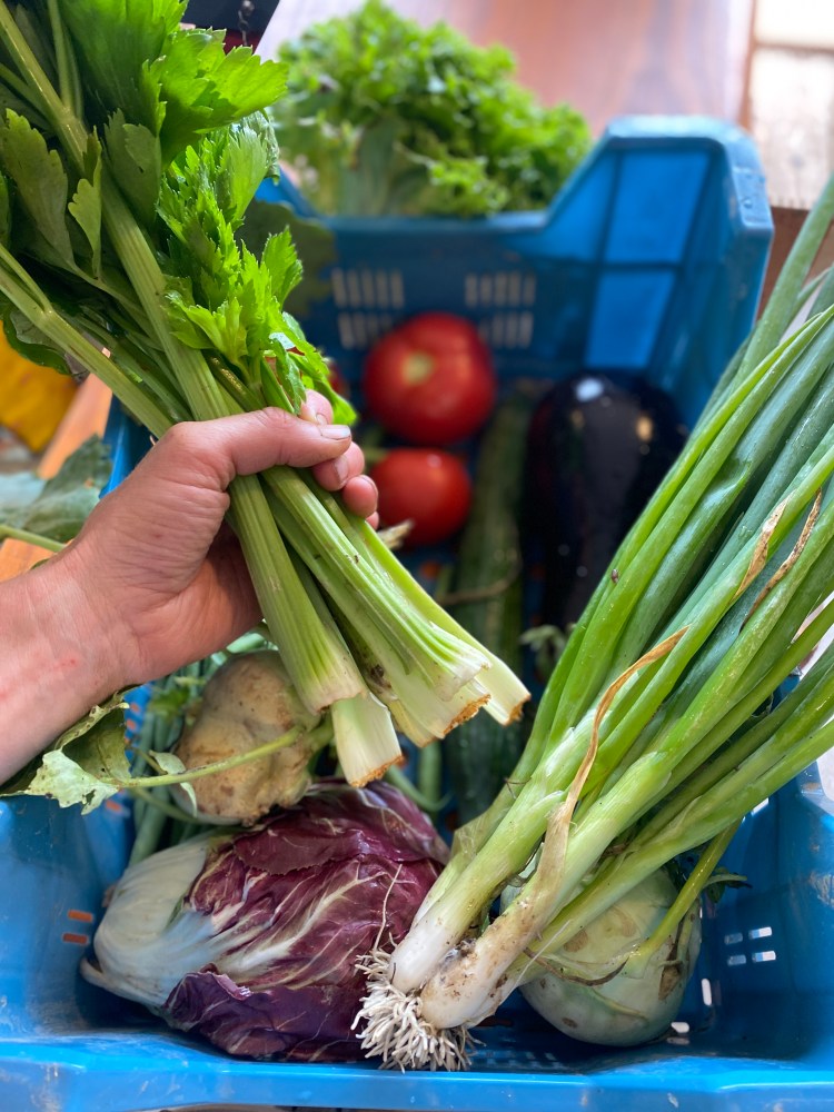 Des paniers de légumes