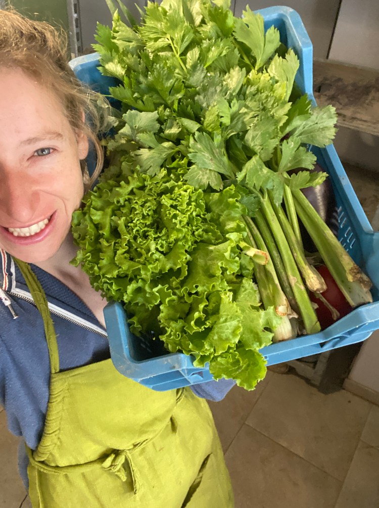 Producteurs de légumes