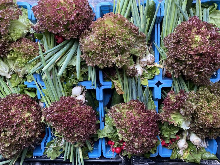 Des paniers de légumes locaux et de saison